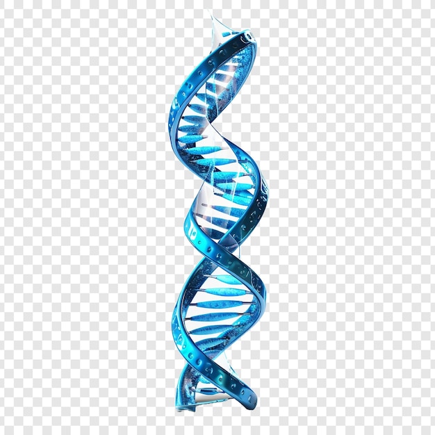 Kostenlose PSD 3d blaues dna-helix-sequenzelement isoliert auf transparentem hintergrund