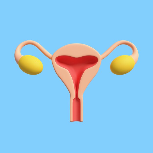 3D-Symbol für Sexualerziehung mit Vagina und Eierstöcken