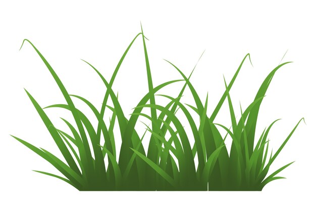Abgesonderte Darstellung von Gras