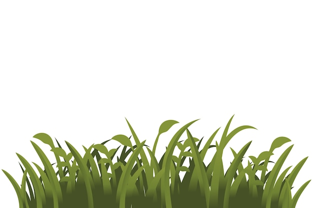 Abgesonderte Darstellung von Gras