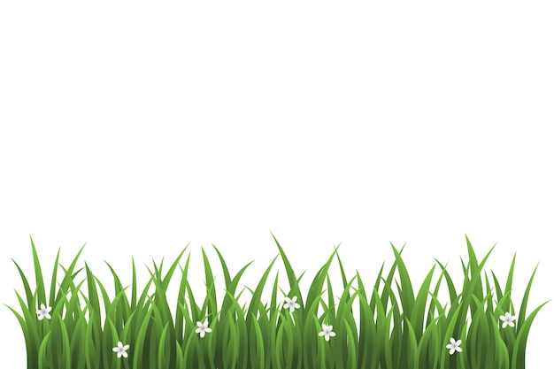 Abgesonderte Darstellung von Gras