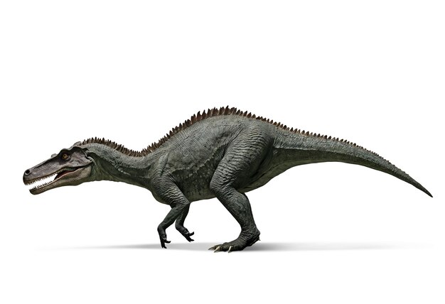 Anatomie von Dinosauriern