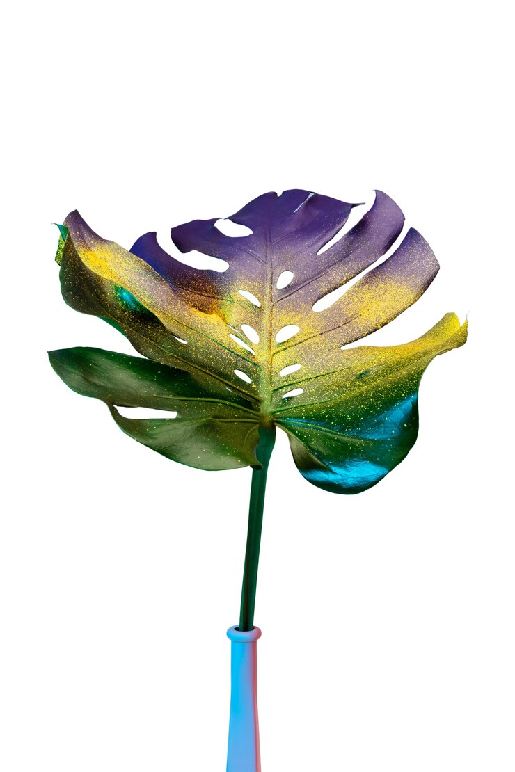 Kostenlose PSD blick auf ein wunderschön mehrfarbiges blatt