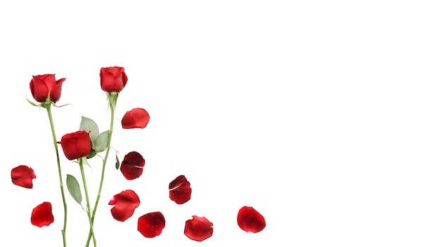 Blumenrahmen isoliert