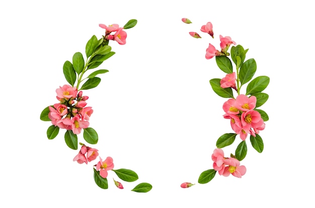 Blumenrahmen isoliert