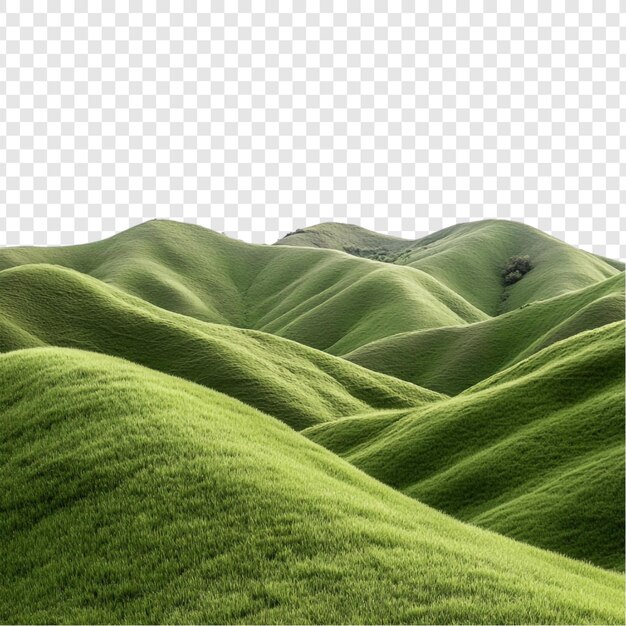 Die ruhige Landschaft der Grünen Hügel Ein atemberaubendes Panorama der Rollenden Hügel