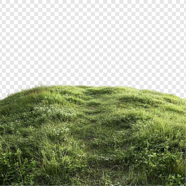 Die ruhige Landschaft des grünen Hügels und der üppige grasbewachsene Knoll