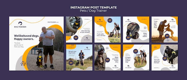 Dynamische Formen Hundetrainer Instagram-Posts