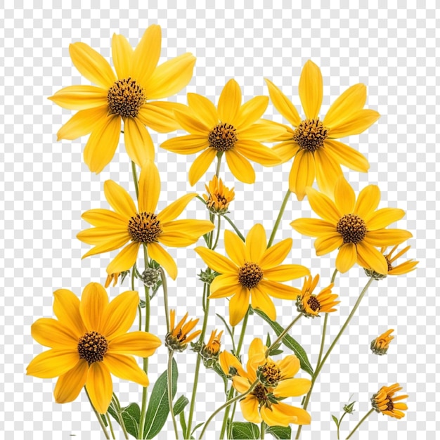 Ein Bouquet lebendiger gelber Blumen Eine atemberaubende Darstellung der Schönheit der Natur