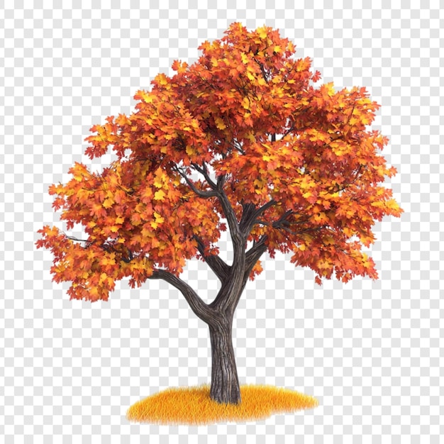 Ein herbstlicher Ahorn - eine lebhafte Herbstszene