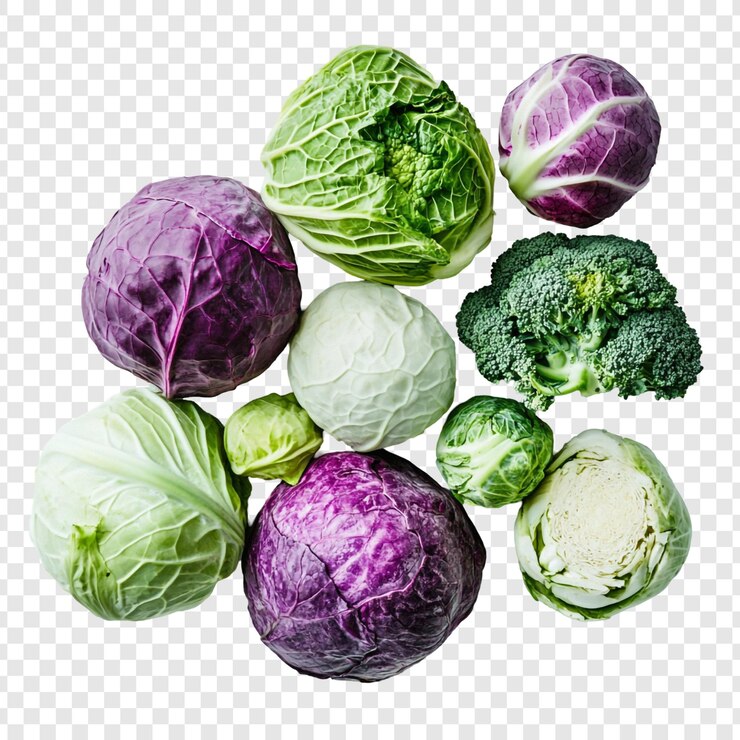 Kostenlose PSD ein lebendiges sortiment frischer kohl und brokkoli