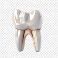 Kostenlose PSD ein schmerzender zahn inmitten gesunder zähne, isoliert auf einem transparenten hintergrund