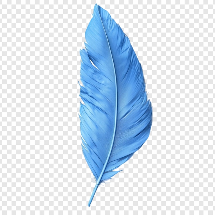 Kostenlose PSD eine einzige blaue feder eleganz und gelassenheit