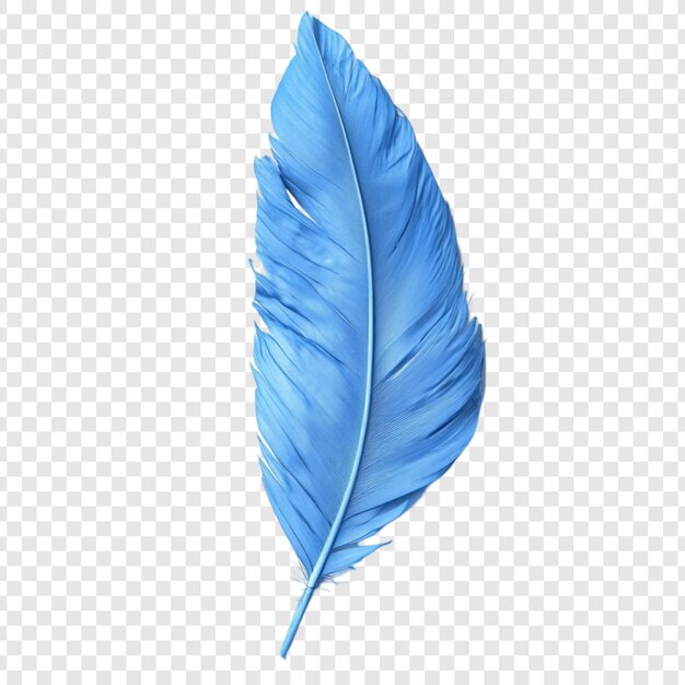 Eine einzige blaue Feder Eleganz und Gelassenheit