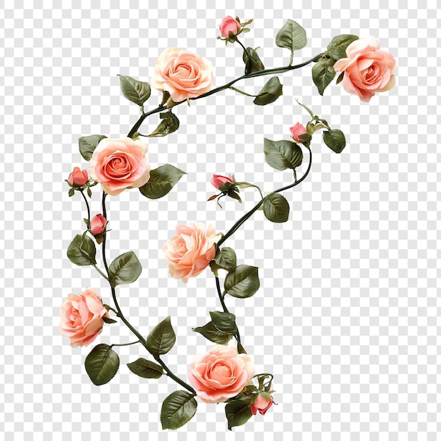 Elegante Pfirsichrosen, die auf die Rebe klettern, ein zartes Blumenarrangement