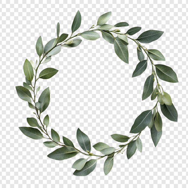 Elegantes Grünkränzrahmen Kreis mit natürlichen Blättern