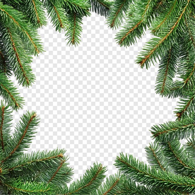 Feierliche Weihnachtsgrenze aus Kiefernzweigen