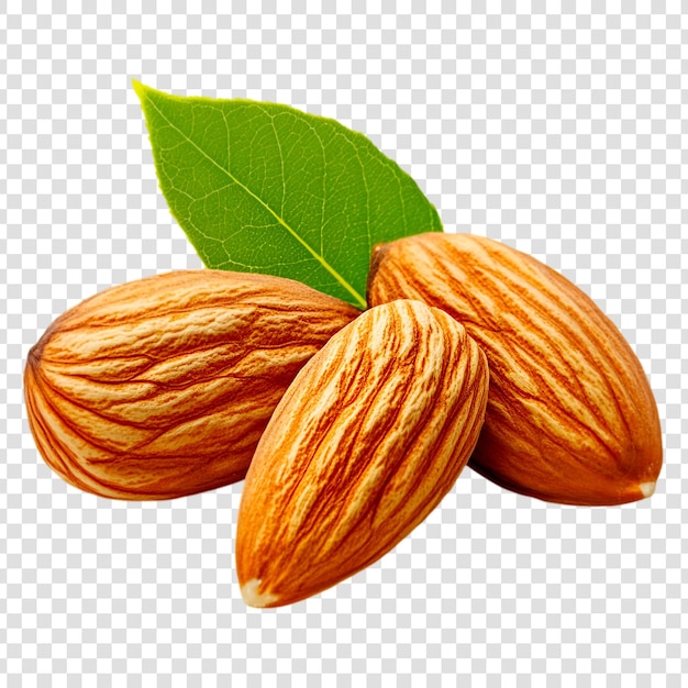 Frische Mandelnüsse mit grünen Blättern auf durchsichtigem Hintergrund