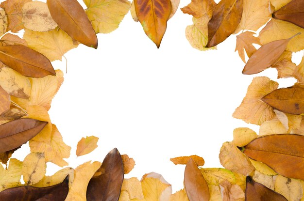 Gestaltung des Herbstblattrahmens