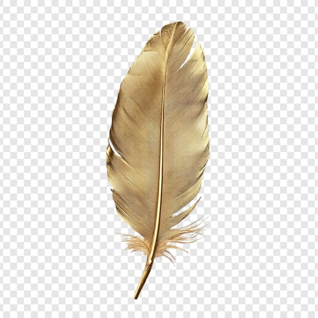 Golden Feather Eleganz und Luxus im Design der Natur