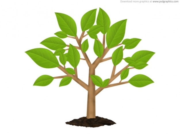 Grune Baum Umwelt Symbol Psd Kostenlose Psd Datei
