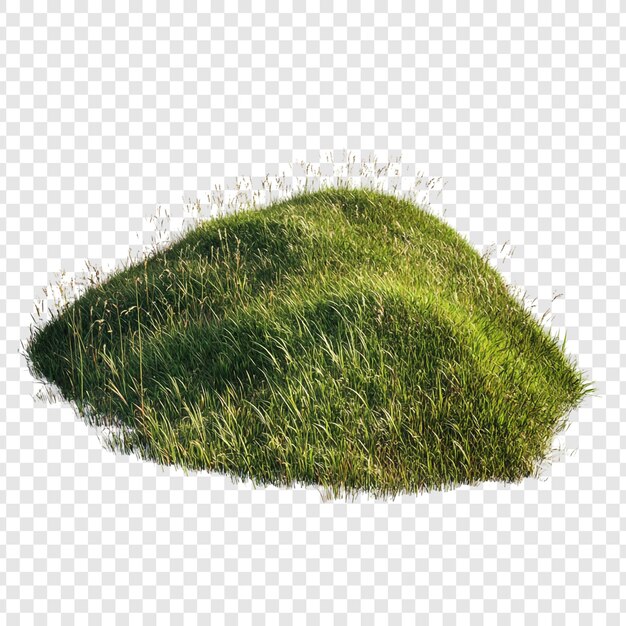 Grüner Grashügel auf durchsichtigem Hintergrund
