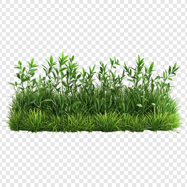 Grünes Gras und Büsche 3D-Rendering