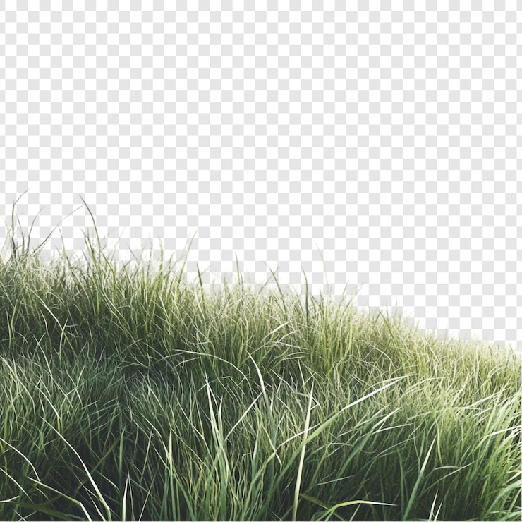 Kostenlose PSD grünes grasfeld, natur, gelassenheit