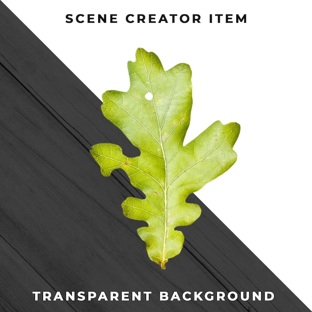 Holzblatt transparent PSD