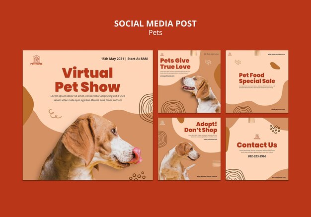 Instagram Beiträge Sammlung für Haustiere mit niedlichen Hund