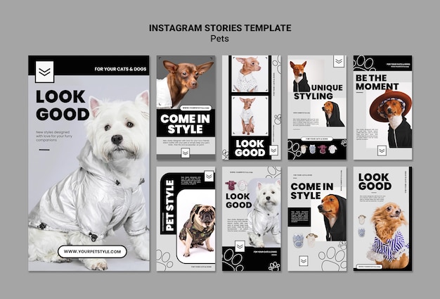 Instagram-post-vorlage für den produktkatalog im flachen design