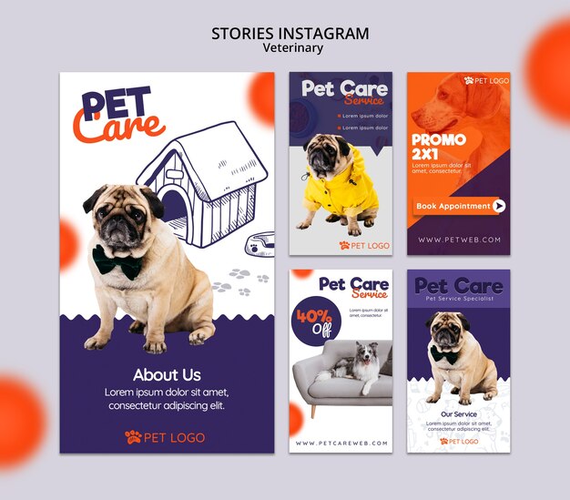 Instagram-Storysammlung für die Tierpflege