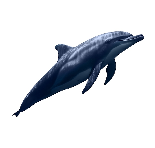 Kostenlose PSD isolierte figur von delfin