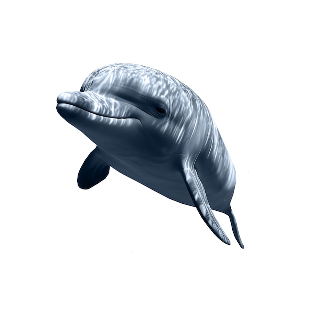 Kostenlose PSD isolierte figur von delfin