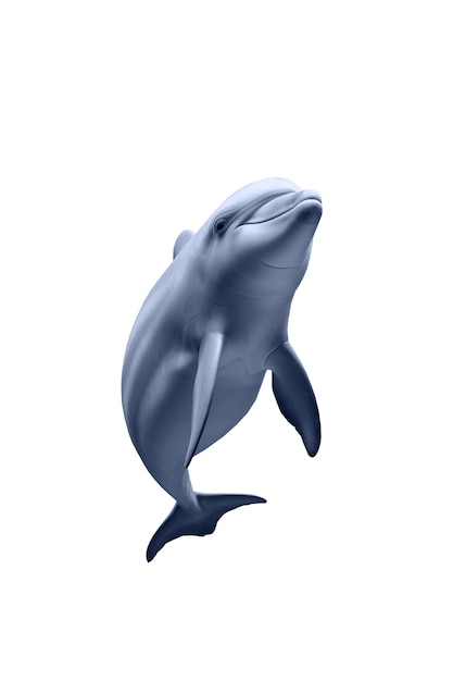 Kostenlose PSD isolierte figur von delfin