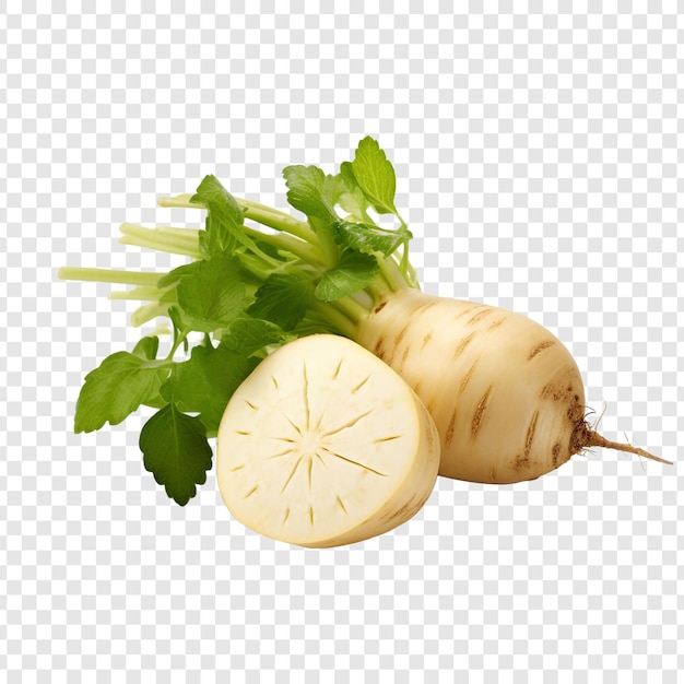 Jicama auf durchsichtigem hintergrund isoliert