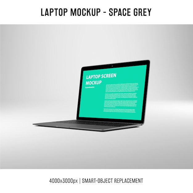 Kostenlose PSD laptop-bildschirm-modell