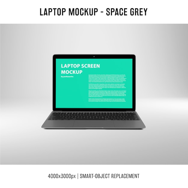 Laptop-bildschirm-modell