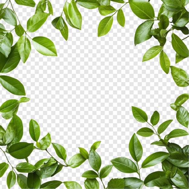 Lebendige grüne Blätter Rahmen Naturen Frühlingsgrenze