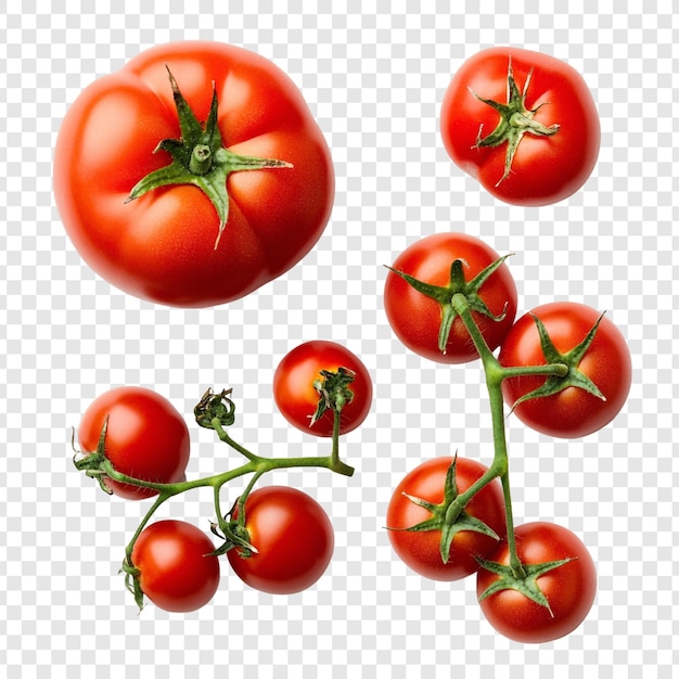 Lebendige rote Tomaten - ein kulinarisches Vergnügen