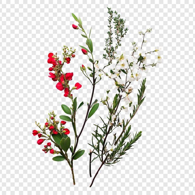 Kostenlose PSD lebendiges frühlingsblumenarrangement rote und weiße blüten