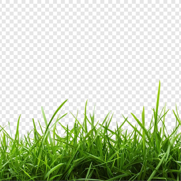 Lebendiges grünes Gras Grenze Naturen üppige Textur Perfekt für Designelemente