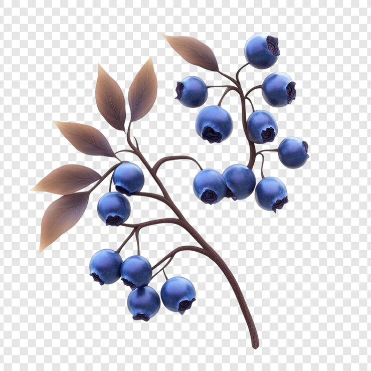 Kostenlose PSD luscious blueberries branch eine 3d-renderung von frischen beeren