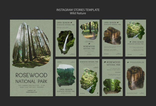 Palisander Nationalpark Instagram Geschichte Vorlage