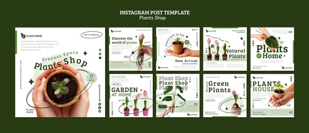 Pflege von Instagram-Posts für Pflanzen