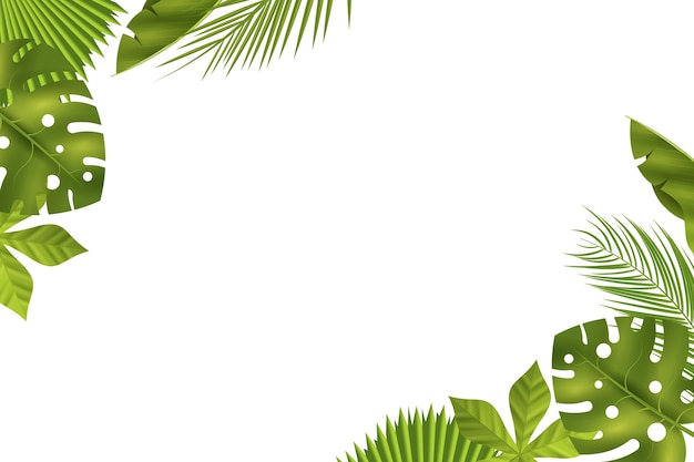 Realistische Blätter auf weißem Hintergrund