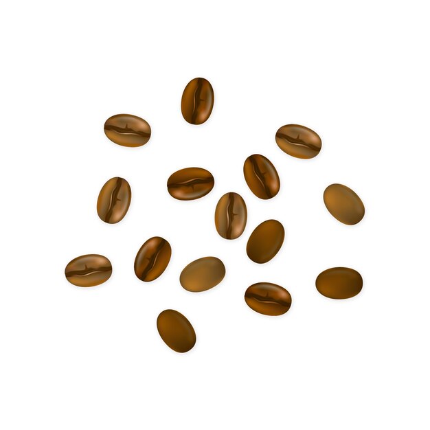 Realistisches Kaffeebohnenelement