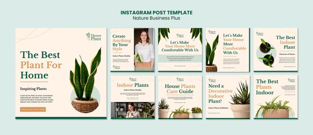Sammlung von Instagram-Posts für Zimmerpflanzen