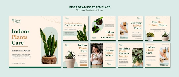 Sammlung von Instagram-Posts für Zimmerpflanzen