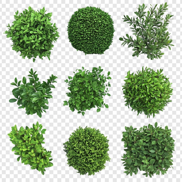 Kostenlose PSD sammlung von neun üppig grünen sträuchern top view perfekt für landschaftsgestaltungsprojekte
